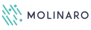 Molinaro cliente Digital Strategy